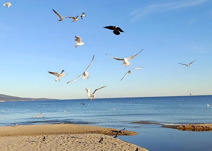 Appartamento Chaika *